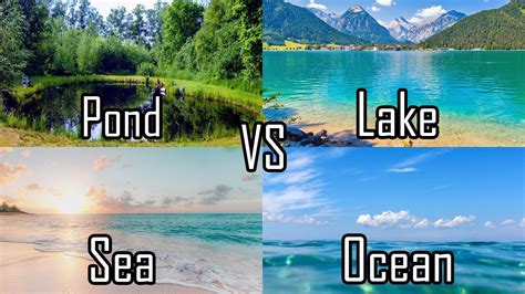 What is the difference between .